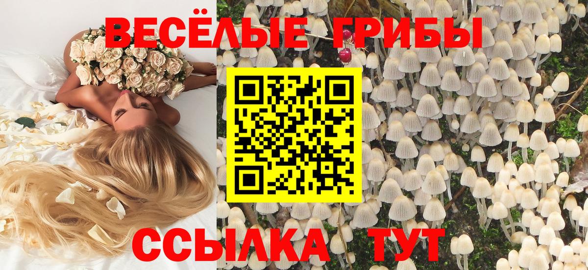 Галлюциногенные грибы Cubensis  Вход с VPN  Торжок 